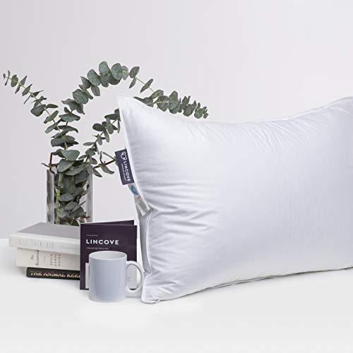 Lincove Recreation Sleeping Pillow – Filled with Imported Premium Goose Down – 800 Fill Power, 600 Thread Count Pillow Shell