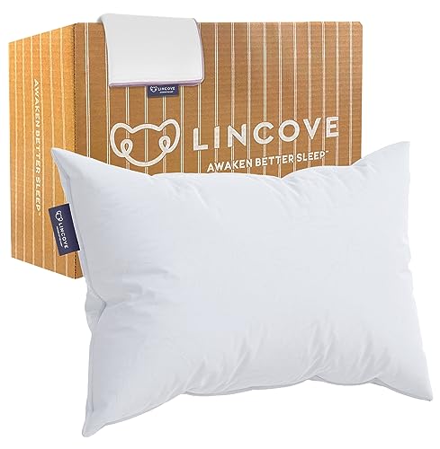 Lincove Recreation Sleeping Pillow – Filled with Imported Premium Goose Down – 800 Fill Power, 600 Thread Count Pillow Shell