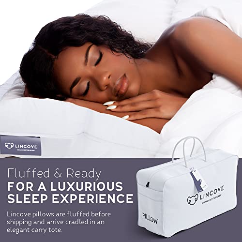Lincove Recreation Sleeping Pillow – Filled with Imported Premium Goose Down – 800 Fill Power, 600 Thread Count Pillow Shell