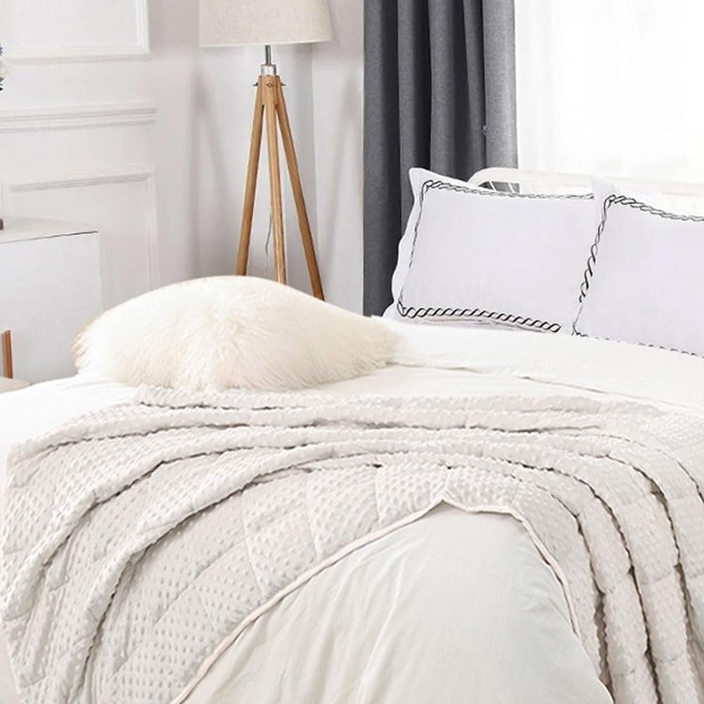 HGTRH Weighted Blanket with Plush, Single Double Heavy Blanket with Premium Glass Bead All-Season Even Weight Distribution Therapy Blanket A/B Double Side
