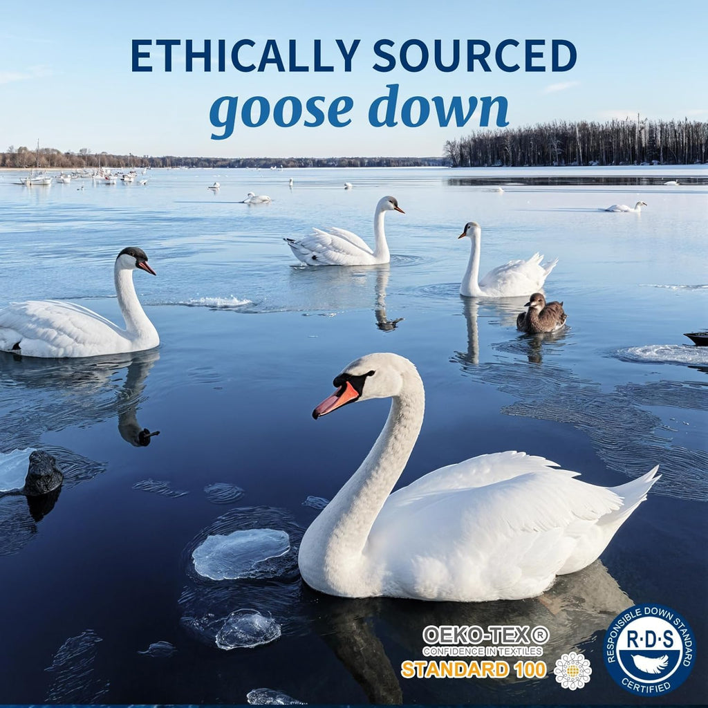 AiAngu Canadian Goose Down Pillow with 600TC Cotton Shell